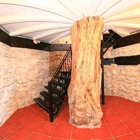 فندق Chimindiaفي  Castelul Lupilor المظهر الخارجي الصورة