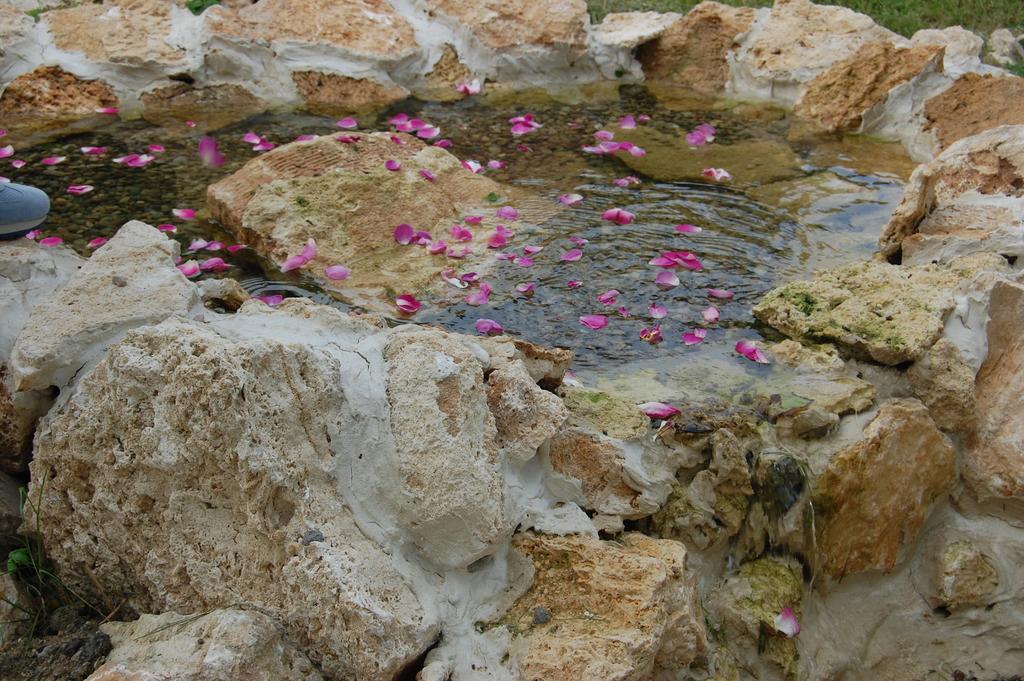 فندق Chimindiaفي  Castelul Lupilor المظهر الخارجي الصورة