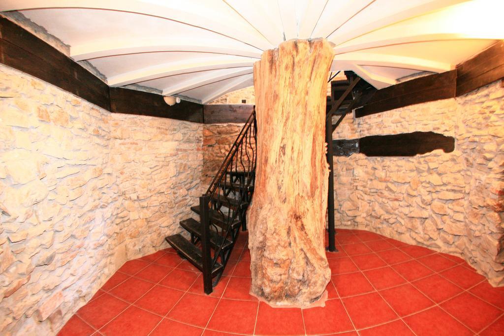 فندق Chimindiaفي  Castelul Lupilor المظهر الخارجي الصورة