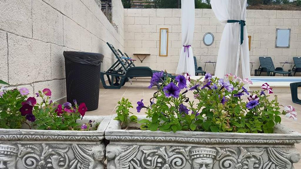 فندق Chimindiaفي  Castelul Lupilor المظهر الخارجي الصورة