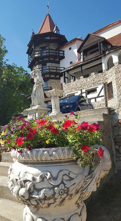 فندق Chimindiaفي  Castelul Lupilor المظهر الخارجي الصورة
